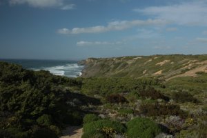 IMG_8911 - Copy (FILEminimizer)