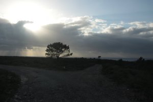 IMG_8927 - Copy (FILEminimizer)