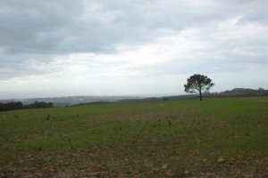 IMG_8932 - Copy (FILEminimizer)