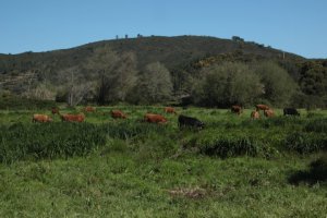 IMG_8969 (FILEminimizer)