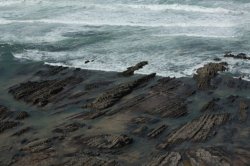 Elementos IMG_8978 (FILEminimizer)