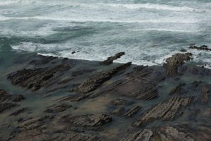 IMG_8978 (FILEminimizer)