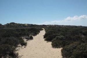 IMG_8984 (FILEminimizer)