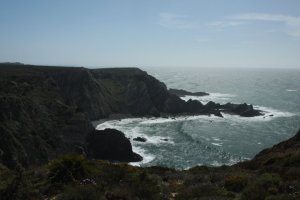 IMG_8991 (FILEminimizer)