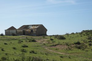 IMG_8993 (FILEminimizer)