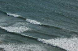 IMG_8996 (FILEminimizer)