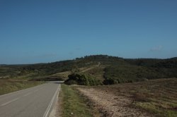 Junto à Estrada IMG_9000 (FILEminimizer)