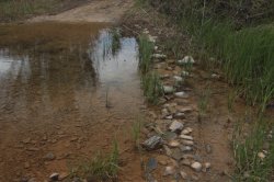 Passagem IMG_9017 (FILEminimizer)