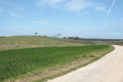 Curvas e Variações IMG_9022 (FILEminimizer)