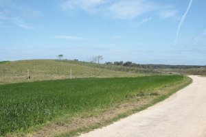 IMG_9022 (FILEminimizer)