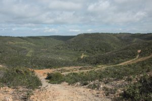 IMG_9045 (FILEminimizer)