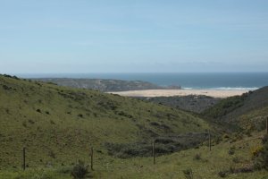 IMG_9047 (FILEminimizer)