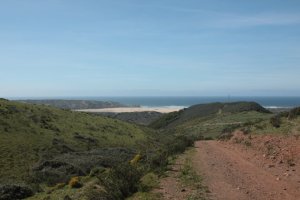 IMG_9049 (FILEminimizer)