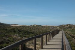 No Passadiço IMG_9052 (FILEminimizer)