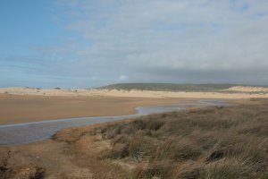 IMG_9054 (FILEminimizer)