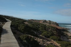 Subida IMG_9065 (FILEminimizer)