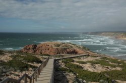 Pontal da Carrapateira IMG_9066 (FILEminimizer)