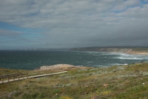 IMG_9067 (FILEminimizer)