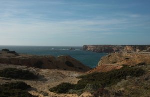 IMG_9073 (FILEminimizer)