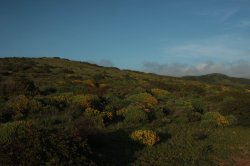 Coloridas IMG_9083 (FILEminimizer)