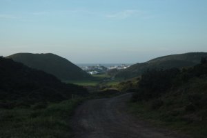 IMG_9088 (FILEminimizer)