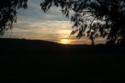 Entre Ramos IMG_9095 (FILEminimizer)