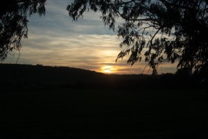 IMG_9095 (FILEminimizer)