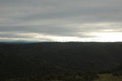 Para Este IMG_9116 (FILEminimizer)