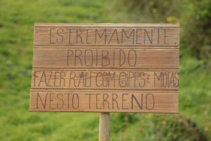 IMG_9119 (FILEminimizer)