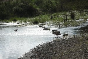 IMG_9121 (FILEminimizer)