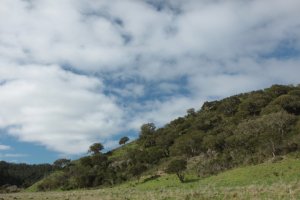 IMG_9127 (FILEminimizer)