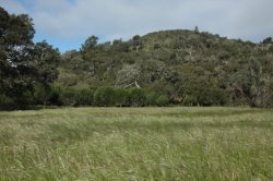 No Campo II IMG_9133 (FILEminimizer)