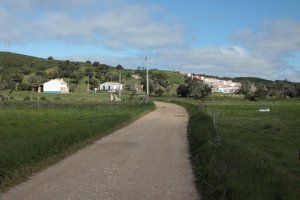 IMG_9146 (FILEminimizer)