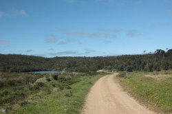 Estrada Fora IMG_9148 (FILEminimizer)