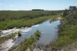 Habitat!? IMG_9151 (FILEminimizer)