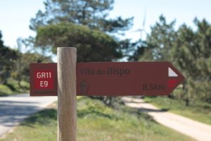 IMG_9158 (FILEminimizer)