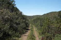 Em Redor IMG_9159 (FILEminimizer)