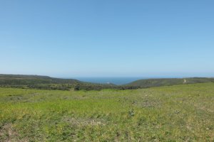 IMG_9180 (FILEminimizer)