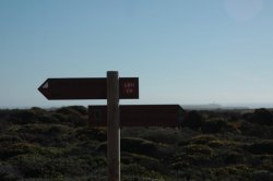 Encruzilhada IMG_9193 (FILEminimizer)