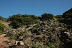 Depois do Barranco IMG_9205 (FILEminimizer)