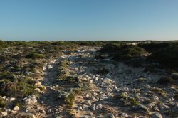 Pedras e mais Pedras IMG_9220 (FILEminimizer)