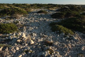 IMG_9225 (FILEminimizer)