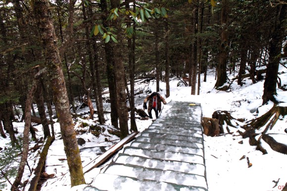 Na Floresta Nevada Loujishan_Blog